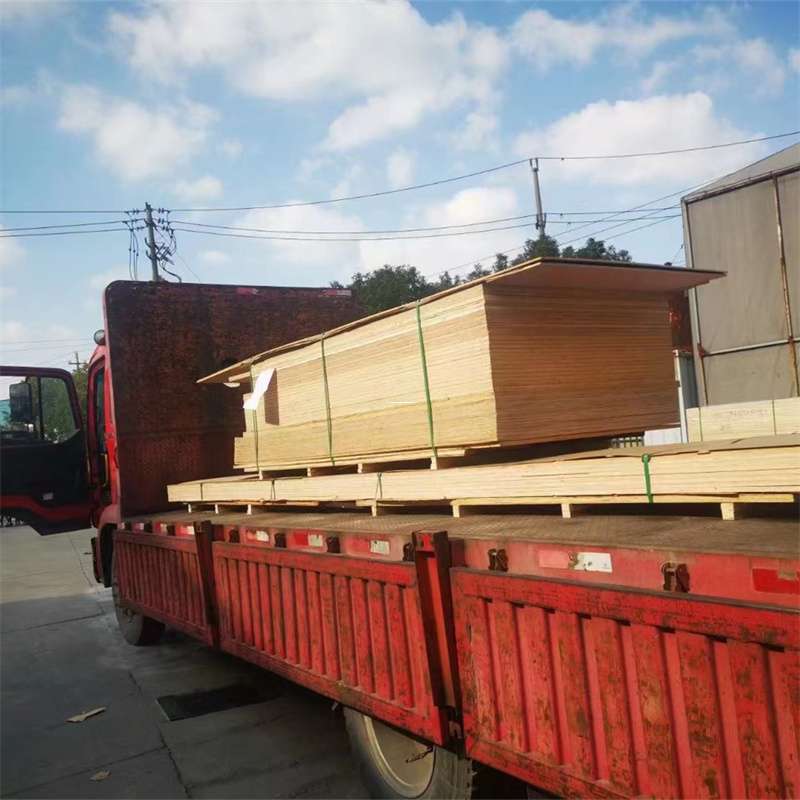 内蒙古巴彦淖尔乌拉特中旗至大丰物流公司，专业货运服务助您成功